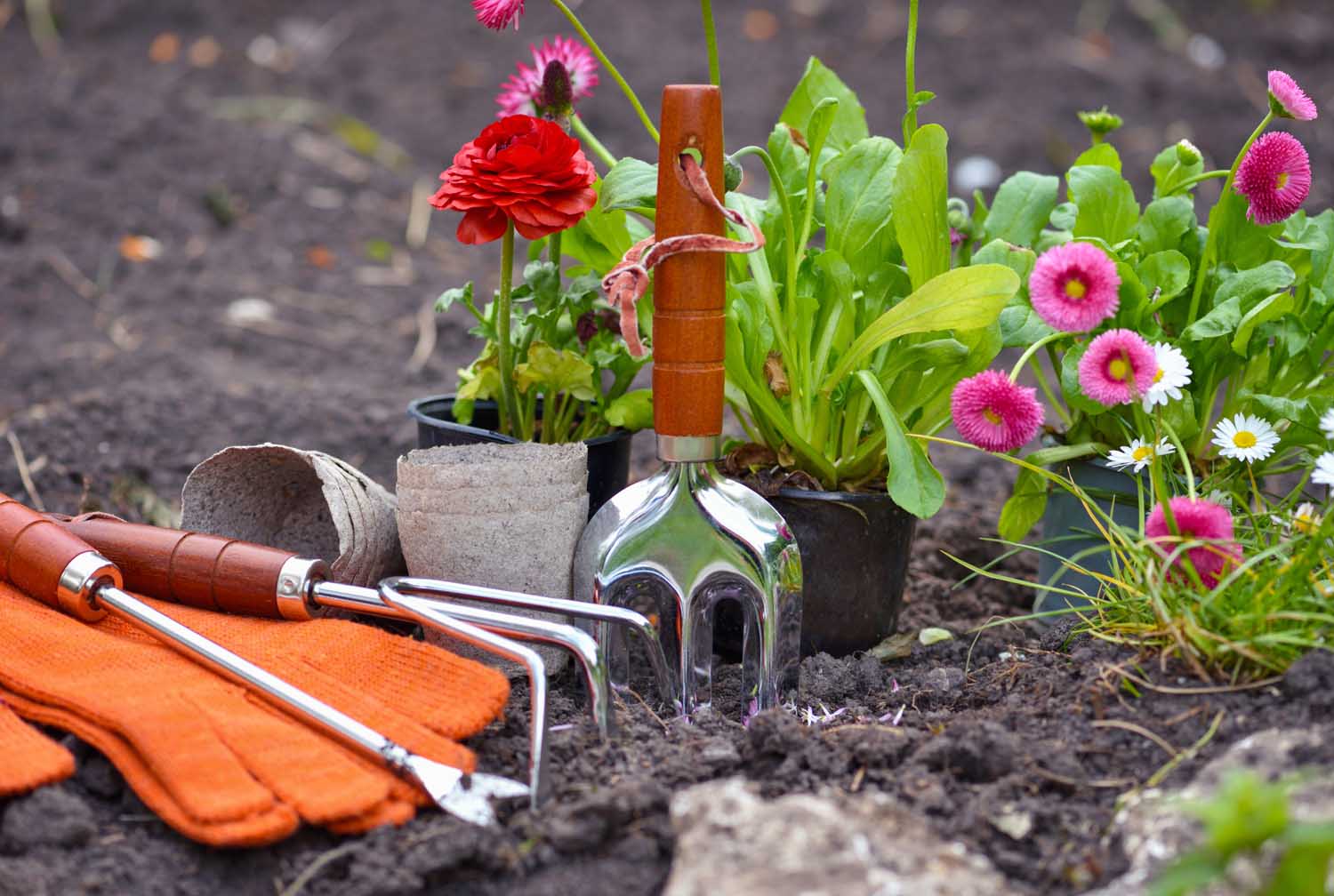 Vente de matériel de jardinage